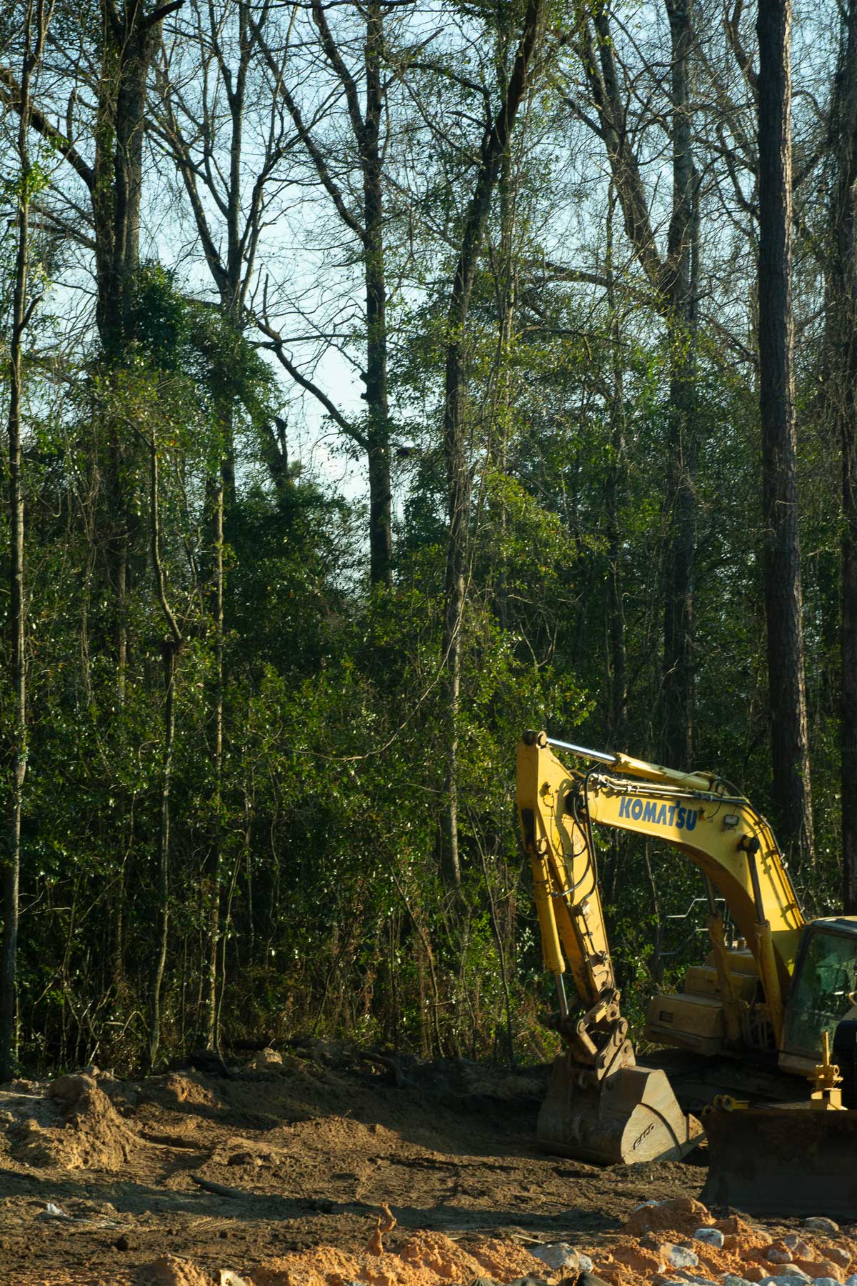 DF_Isabella_02_edit-copy